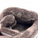 Зимние ботинки мальчику Kangaroos р 35